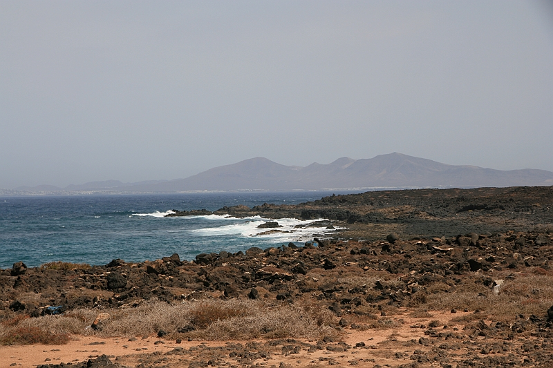 Kanary_2010 112